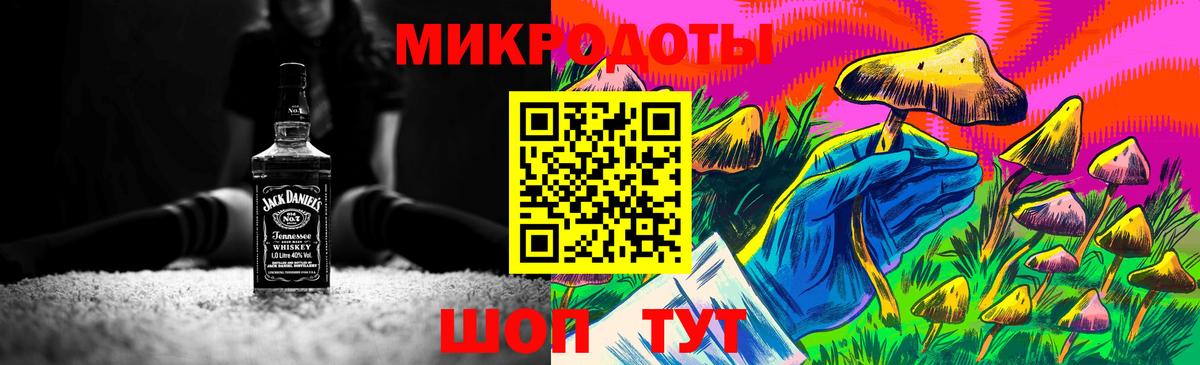 Галлюциногенные грибы Psilocybine cubensis Тара