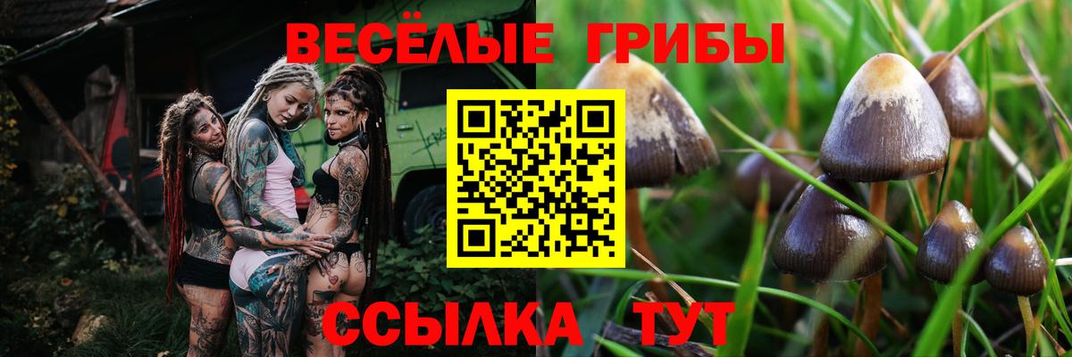 Псилоцибиновые грибы мицелий  Вход с VPN  магазин продажи   Тара 