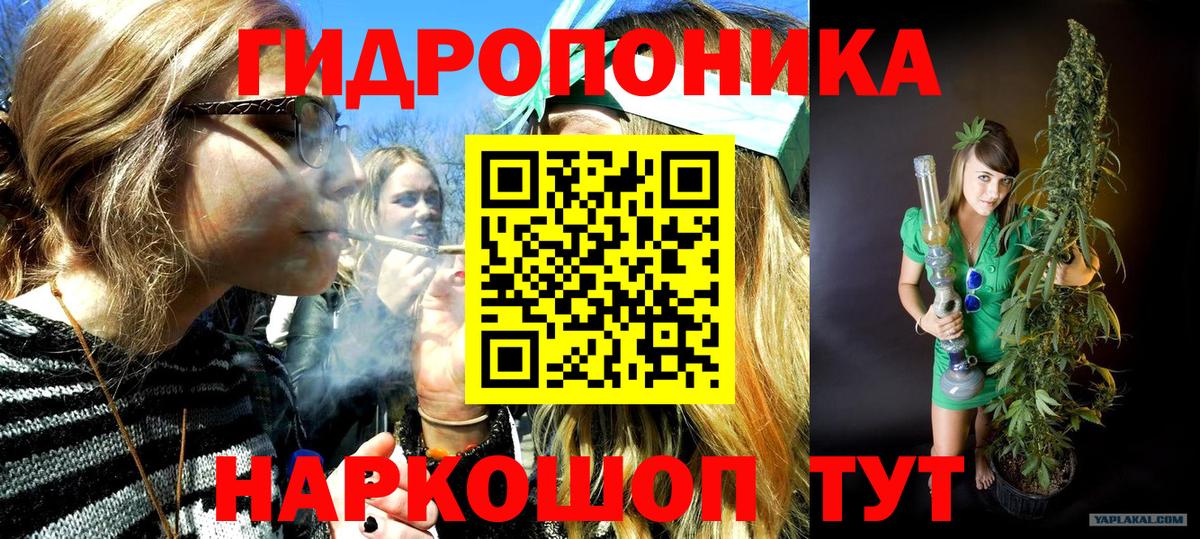 Марихуана Ganja  Конопля AK-47  Тара  Вход с VPN  Каннабис сатива 